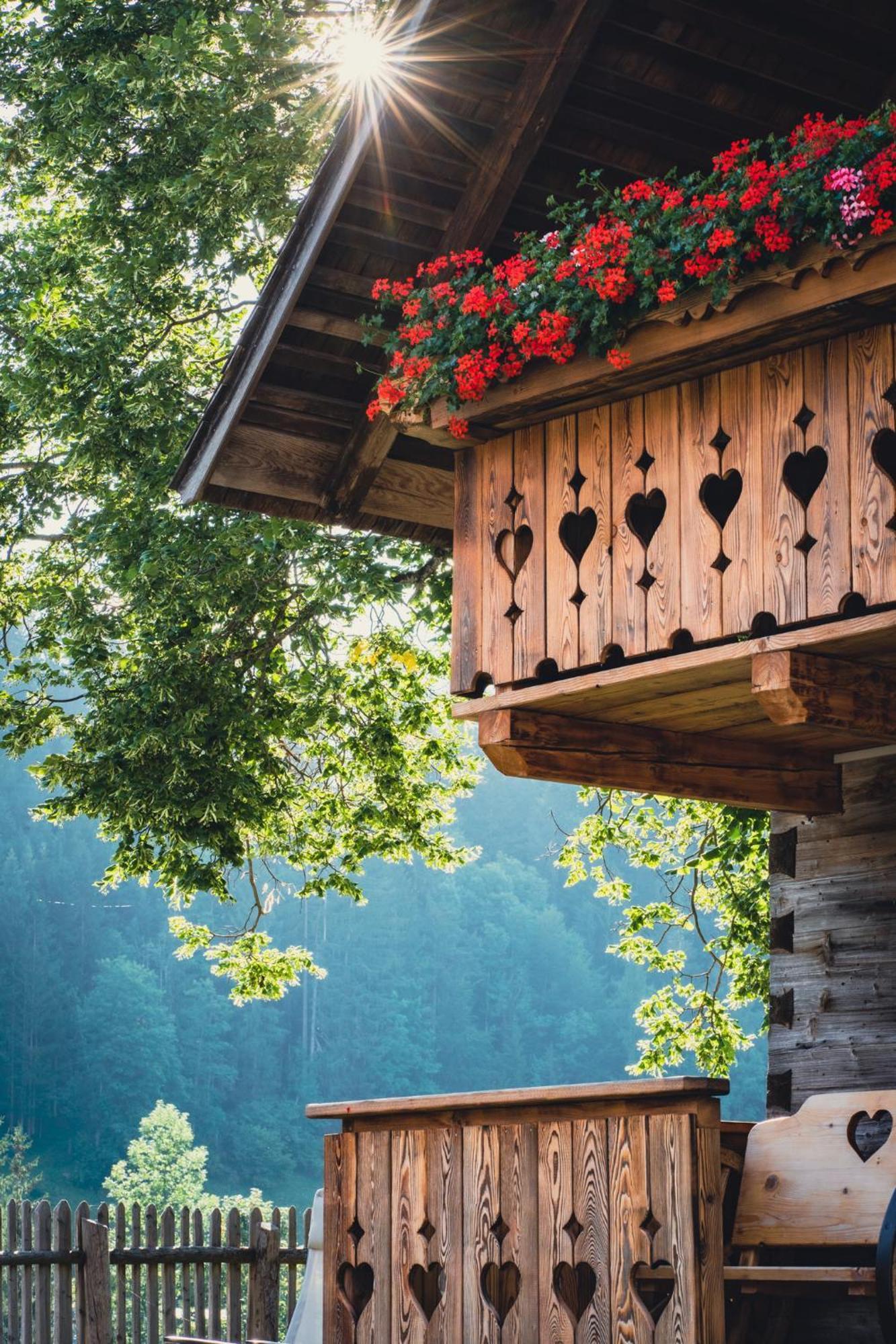 Singerskogel - Ferienhof Und Jausnstub'N Spital Am Pyhrn Esterno foto