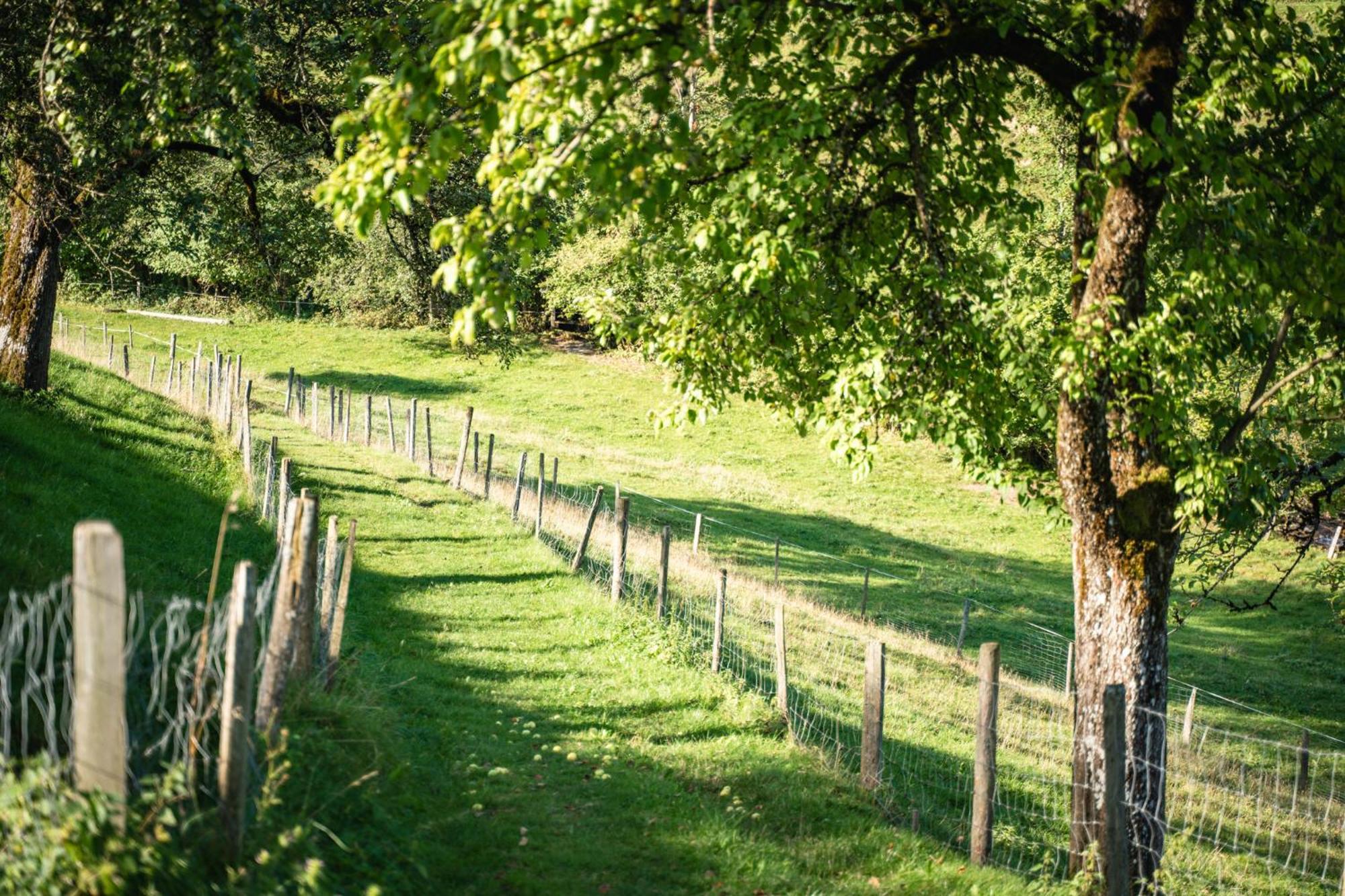 Singerskogel - Ferienhof Und Jausnstub'N Spital Am Pyhrn Esterno foto