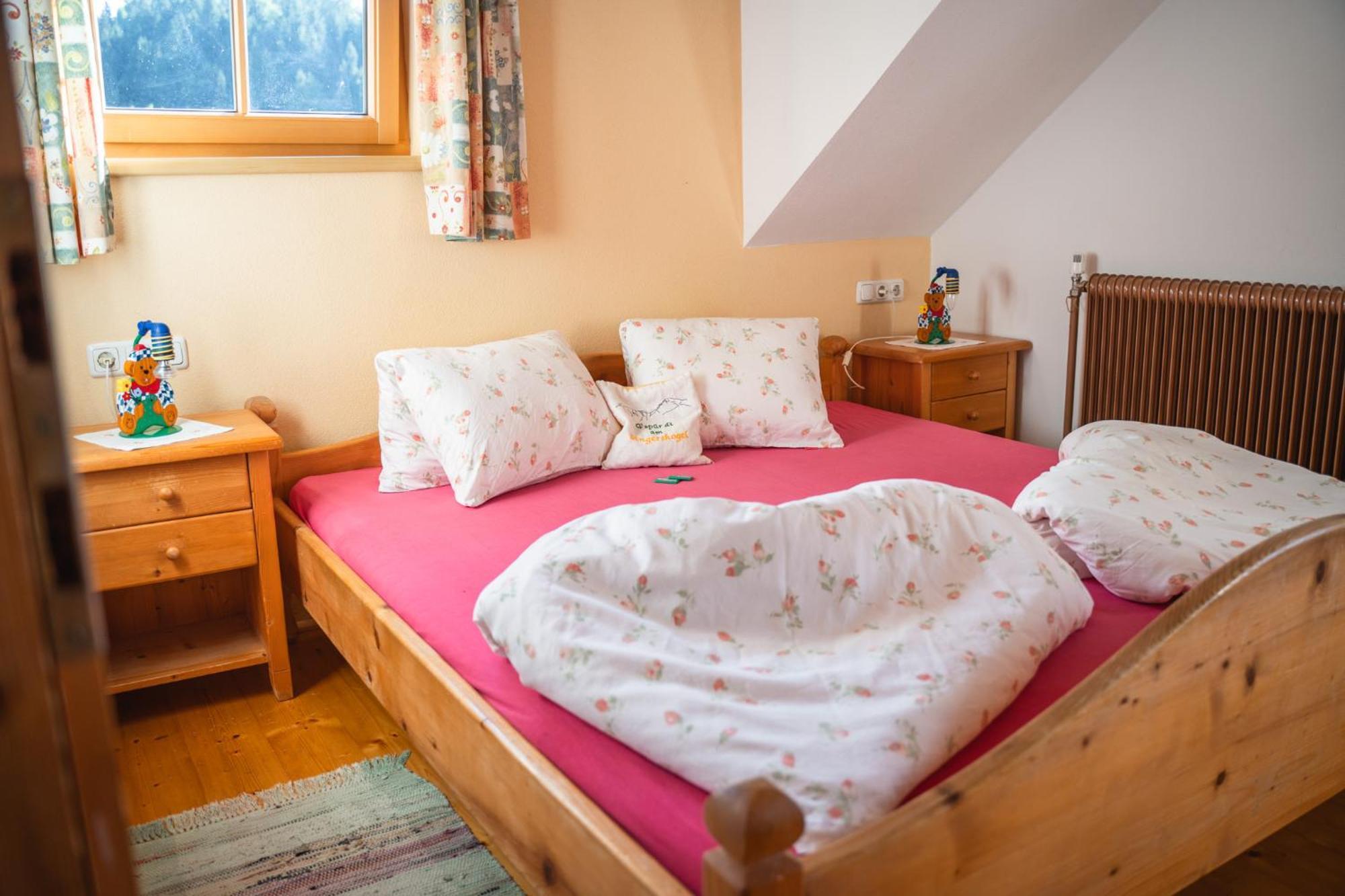 Singerskogel - Ferienhof Und Jausnstub'N Spital Am Pyhrn Esterno foto