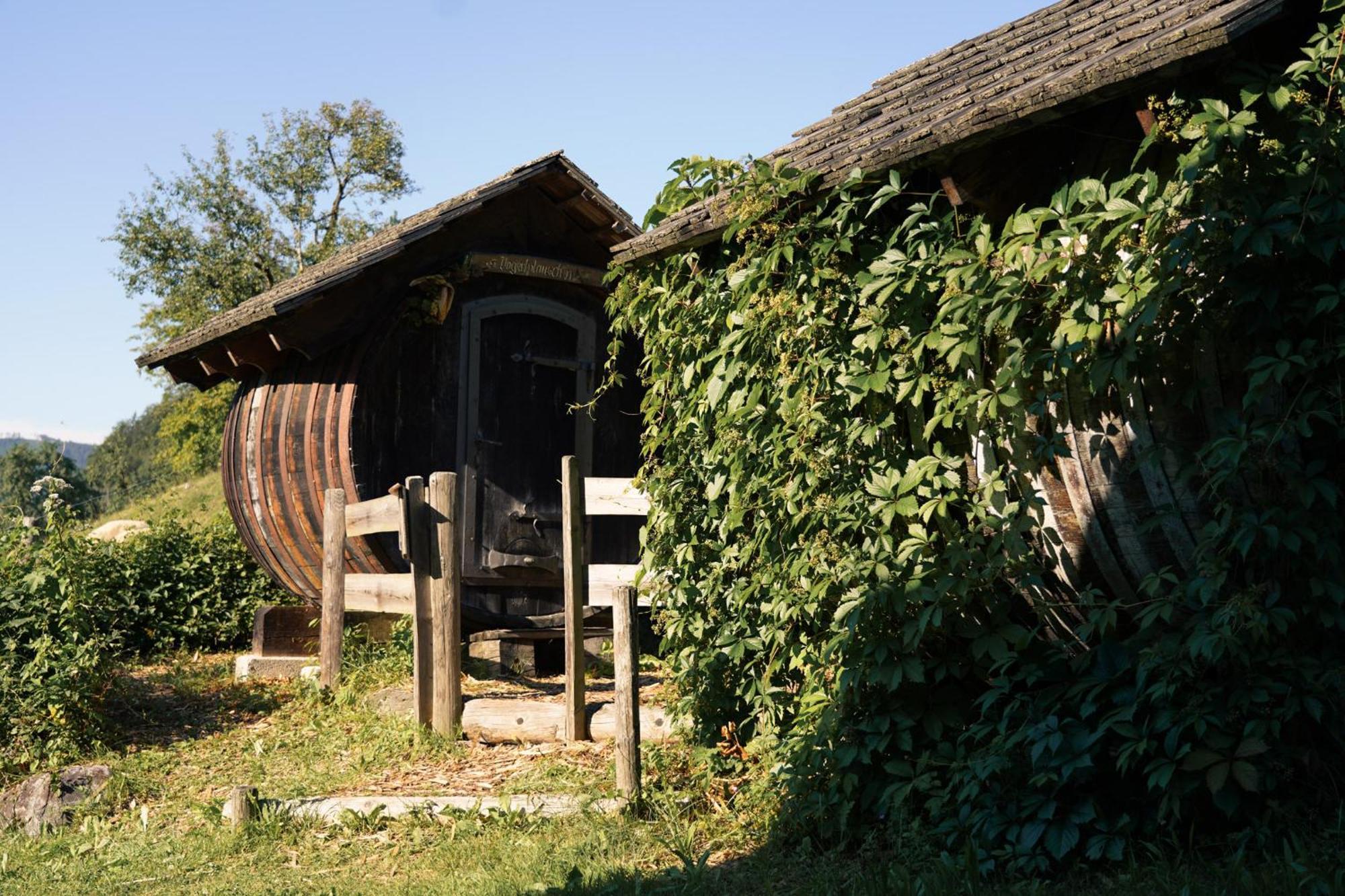 Singerskogel - Ferienhof Und Jausnstub'N Spital Am Pyhrn Esterno foto