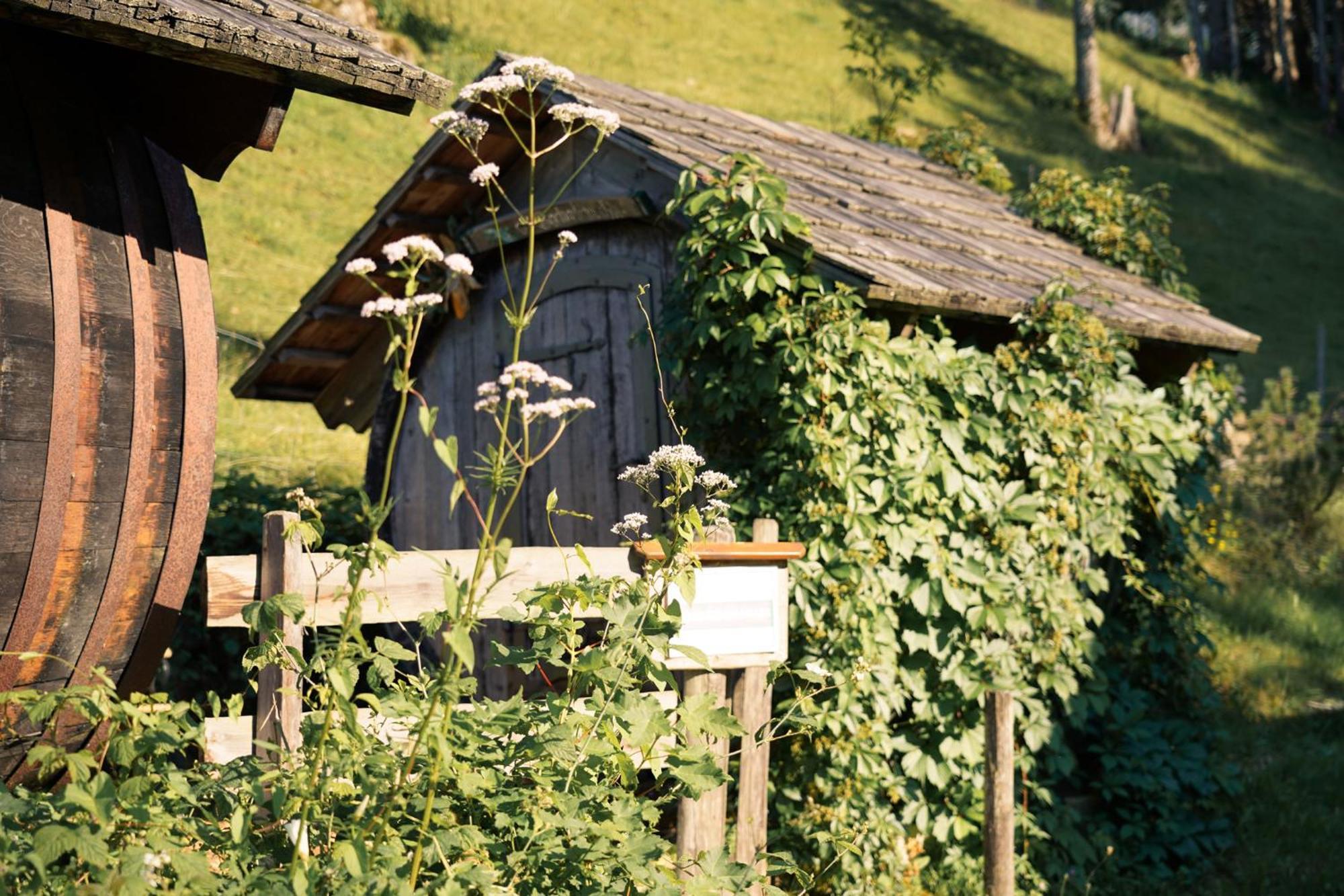 Singerskogel - Ferienhof Und Jausnstub'N Spital Am Pyhrn Esterno foto
