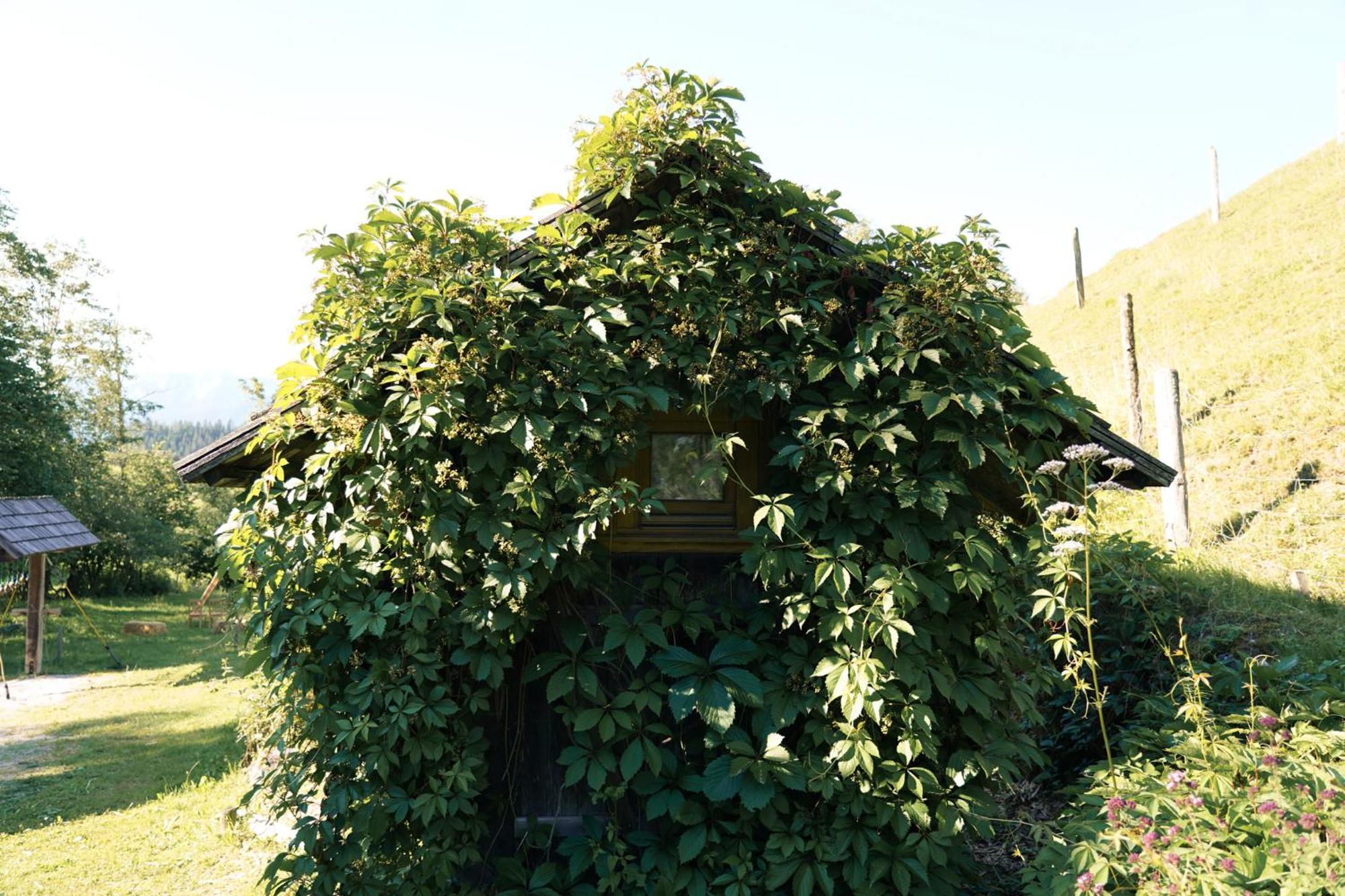 Singerskogel - Ferienhof Und Jausnstub'N Spital Am Pyhrn Esterno foto