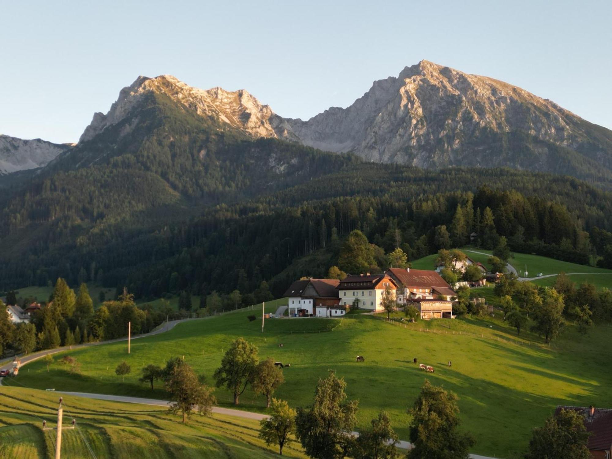 Singerskogel - Ferienhof Und Jausnstub'N Spital Am Pyhrn Esterno foto