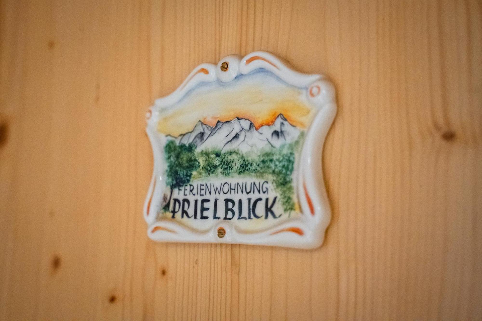 Singerskogel - Ferienhof Und Jausnstub'N Spital Am Pyhrn Esterno foto
